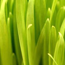 业务流程优化的怎么ddos攻击游戏服务器