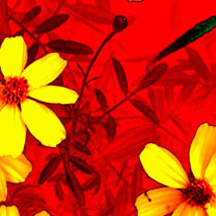 商业流程再造的怎么攻击网站